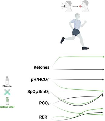 Ketone Bodies Impact on Hypoxic CO2 Retention Protocol During Exercise